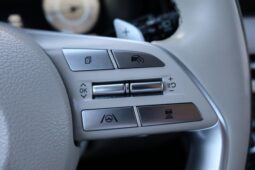 
										2023 Hyundai Palisade Calligraphy Sport Utility 4D full									