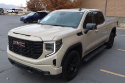 
										2023 GMC Sierra 1500 Crew Cab Elevation Pickup 4D 5 3/4 ft full									