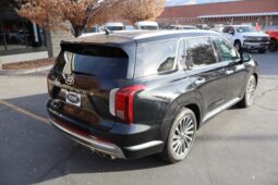 
										2023 Hyundai Palisade Calligraphy Sport Utility 4D full									